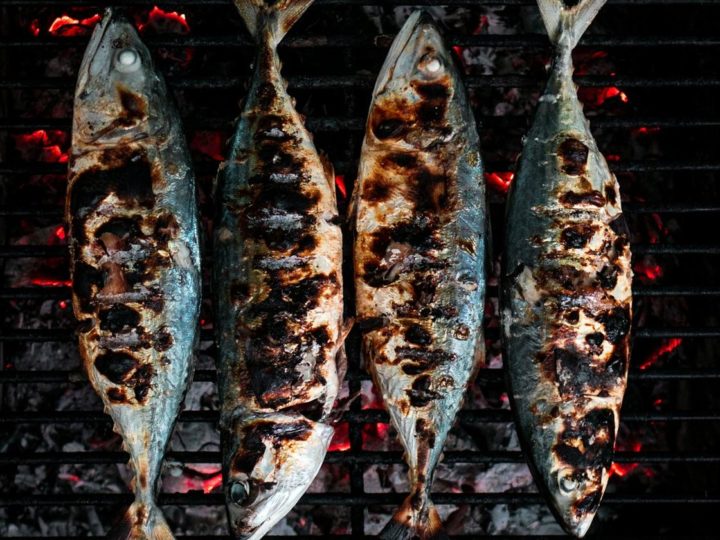 Пожарная безопасность в лагере: костёр, горелка и угли