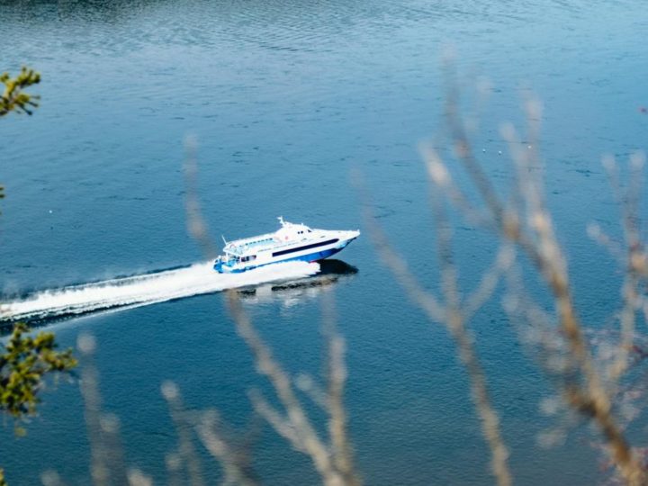 RIB или ПВХ: чем отличаются лодки с жестким и надувным дном